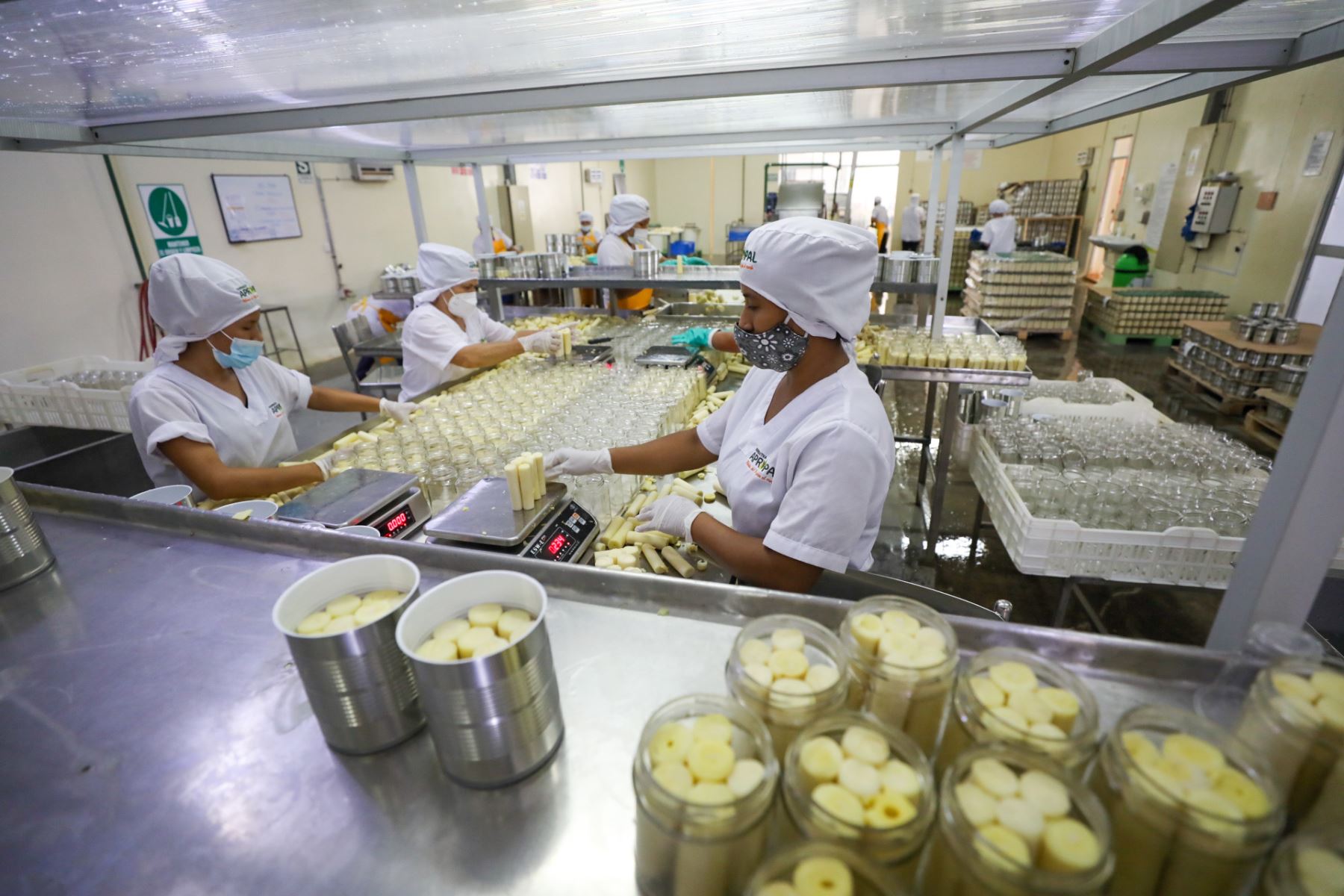 Agroexportaciones peruanas conquistan más mercados y envíos crecen 22.5% a octubre