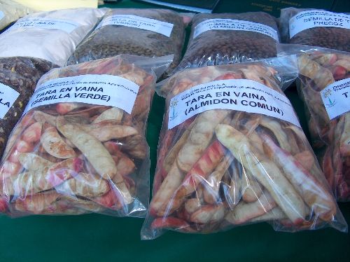 Agroexportaciones no tradicionales crecieron 6.9% en el 2013