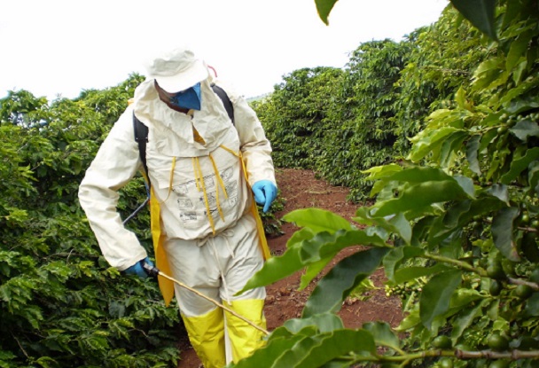 Insostenibilidad de los agrotóxicos (Por: Frei Betto*)