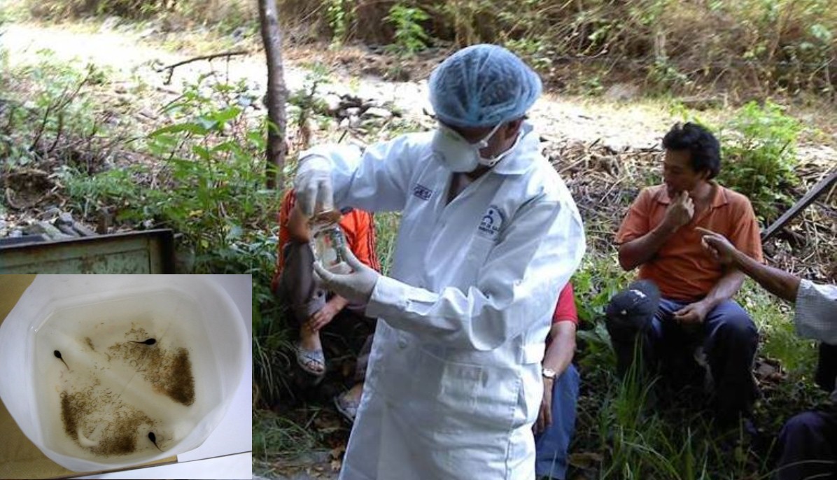 Incrementa consumo de agua no apta en zonas rurales de Chimbote y Macate 