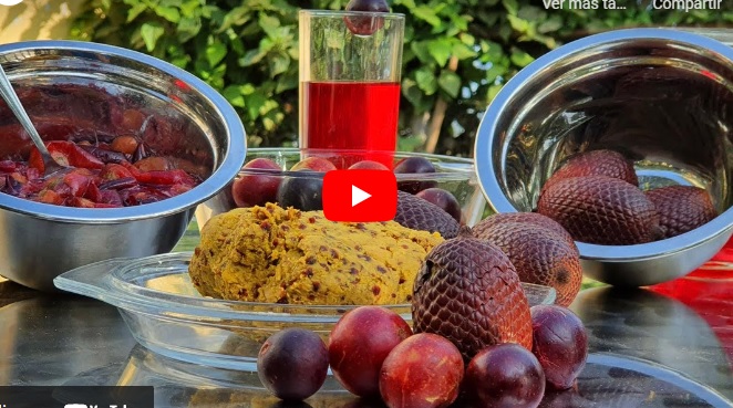 Estudian propiedades del aguaje y camu camu para prevenir el Alzheimer y Parkinson