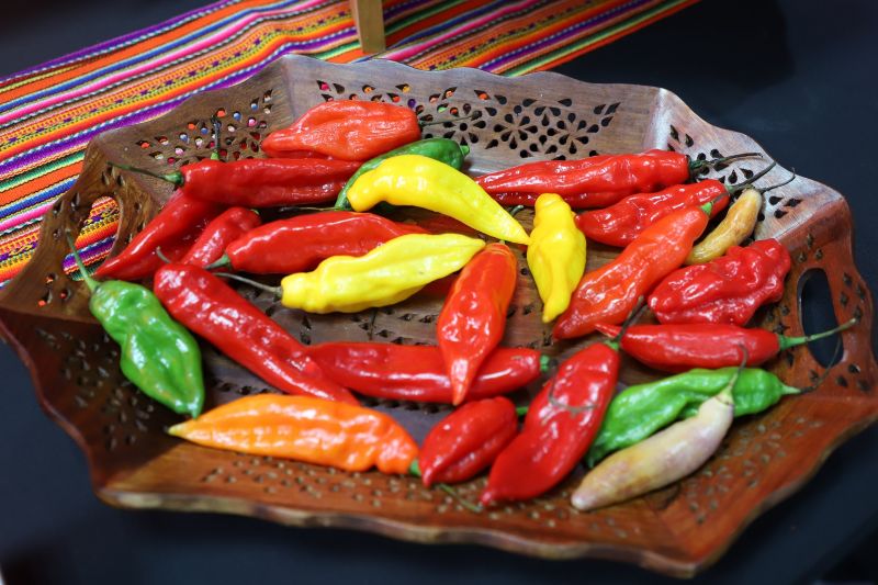 Capsicum peruano tendrá mejores oportunidades en el exterior este año  