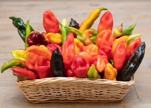 Día de los ajíes peruanos: Perú posee la mayor diversidad cultivada de esta especie 