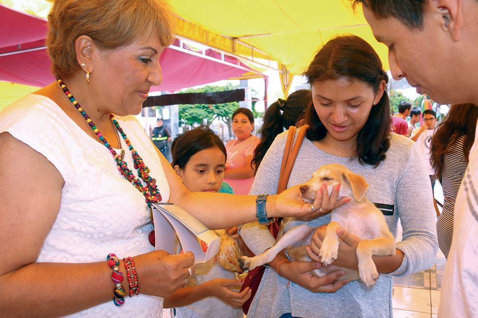 Alcaldesa del Santa reitera compromiso de gestionar albergue para mascotas 