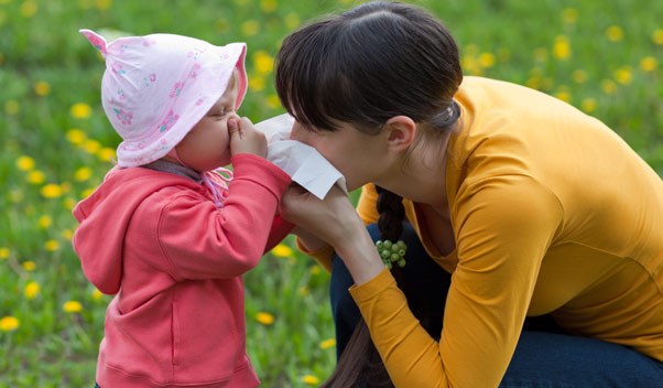 Recomendaciones para evitar las alergias respiratorias