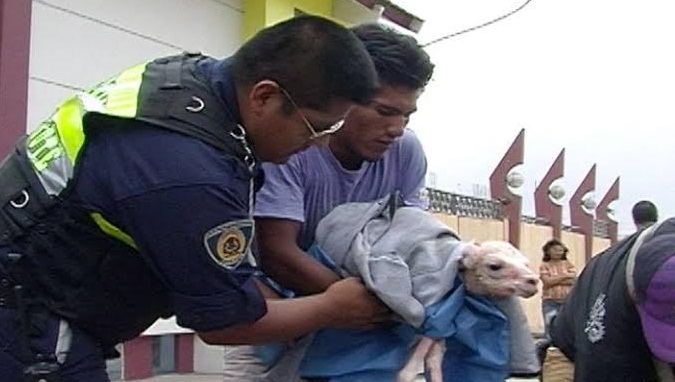 Serenos ayudan en alumbramiento de una llama en plena vía pública