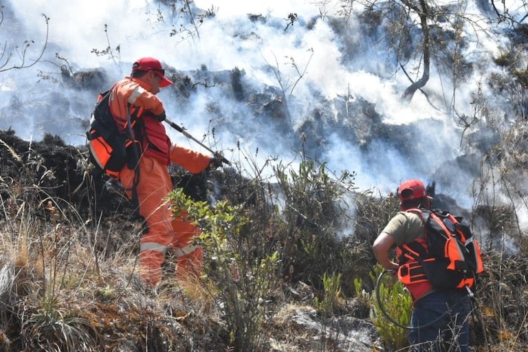  Áncash reportó cerca de 200 incendios forestales en lo que va del año