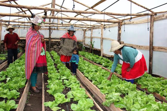 Experiencia de proyecto realizado en poblado de Áncash se replicaría en comunidades de Colombia