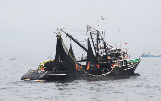 Produce decreta veda de anchoveta por cinco días