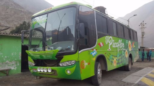Áncash: 8 delincuentes asaltan a mano armada bus interprovincial en la carretera Santa-Chuquicara