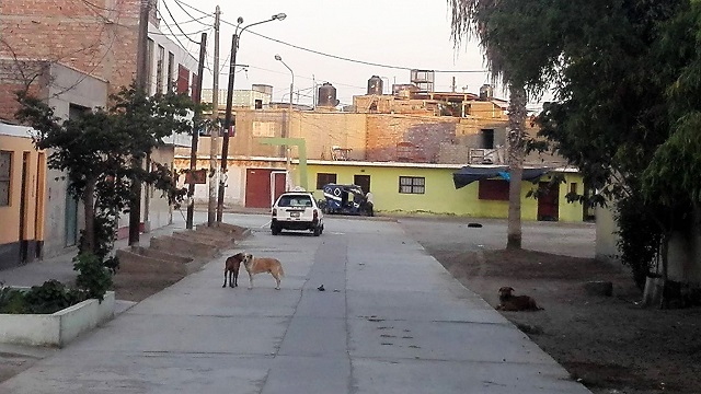 Chimbote: Prestamista fue asaltada a mano armada en “El Carmen” por delincuentes que fugaron en auto