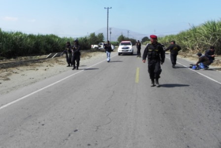 Roban tráiler con 30 toneladas de arroz en Casma y abandonan a chofer por cañaverales