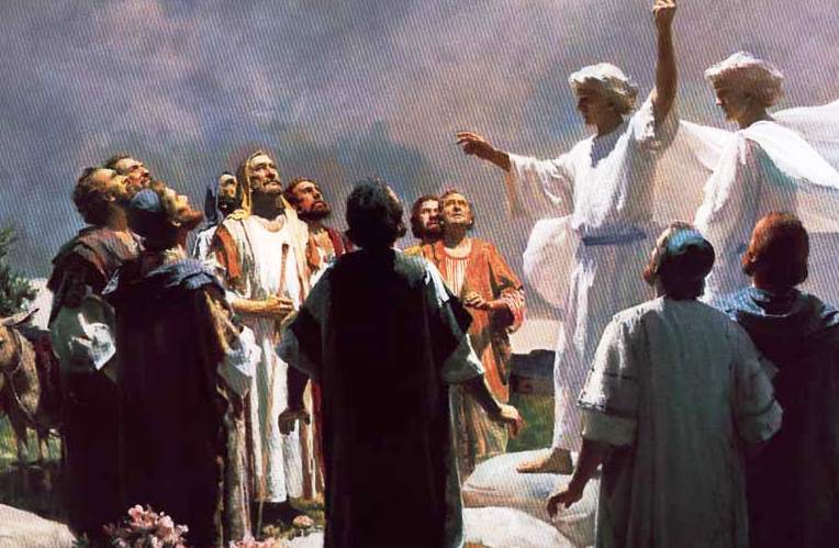 Ascensión del Señor: Serán mis testigos 