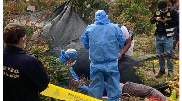 Casma: regidora fue hallada muerta en terreno de cultivo, habría sido ahorcada