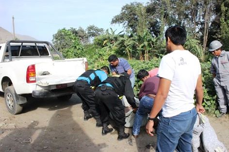 Gobierno incrementaría penas para combatir sicariato en el país