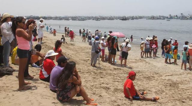 Examen microbiológico revela que playa La Caleta no está contaminada