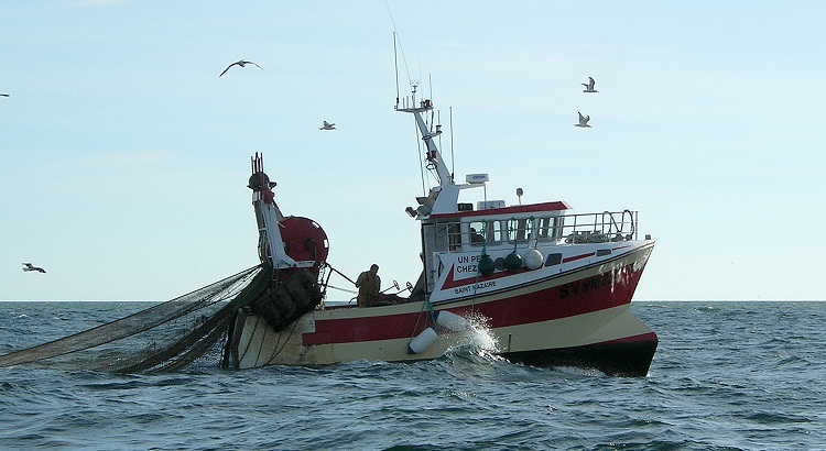 Barcos artesanales peruanos parados por intromisión de flota pesquera china
