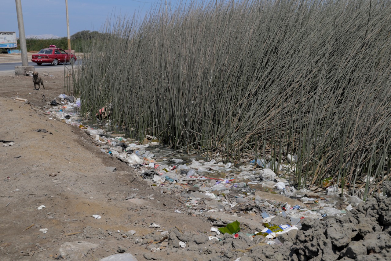 Chimbote: intervienen en humedales de Villa María para evitar arrojo de desmonte y basura