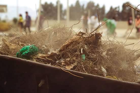 Alumnos limpiarán alrededores de escuela de Comunicación de la UNS