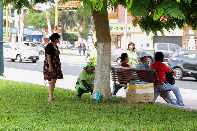 Municipio colocó 40 bebederos de agua para perros callejeros en varios puntos de Chimbote