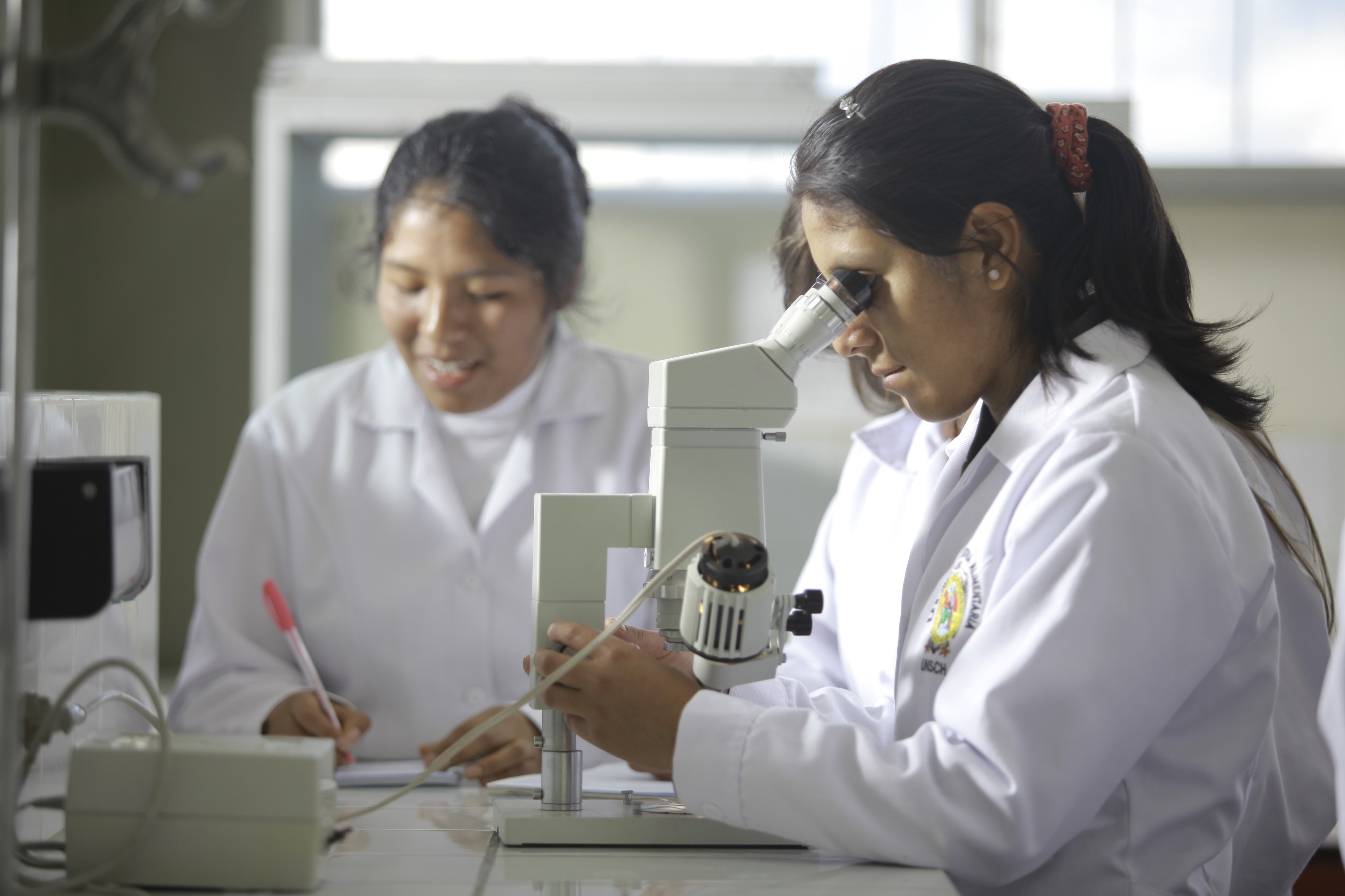 Beca Presidente de la República premiará a peruanos que ingresen a universidades en el top 100 del mundo