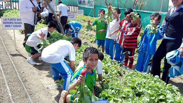 Promueven biohuertos con sistema de riego tecnificado en 10 escuelas de Chimbote