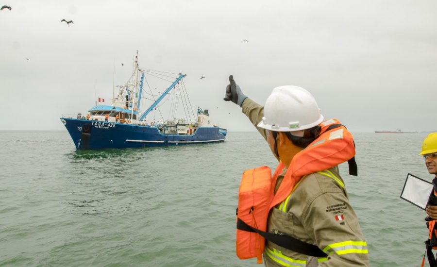 SNP: “Resultados de primera temporada de pesca de anchoveta ayudarán a dinamizar la economía”