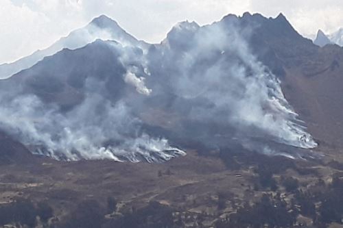 Áncash:  incendio forestal afectó 150 hectáreas de bosque cerca al Parque Nacional Huascarán