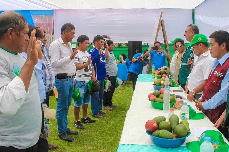 Áncash: Quillo se suma al compromiso de erradicar la mosca de la fruta