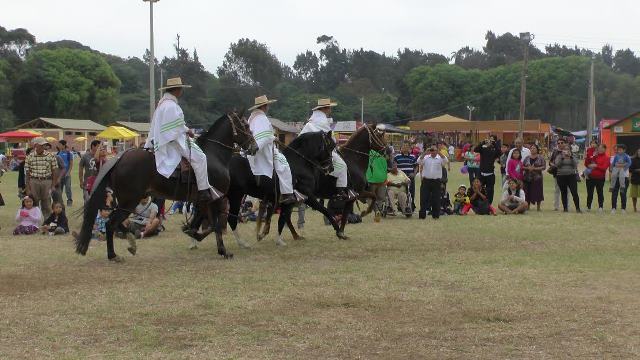 Caballos de Paso en la Feria de San Pedrito alegraron a chimbotanos