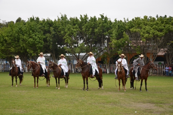 Caballos de Paso deleitaron a neochimbotanos con brillante exhibición