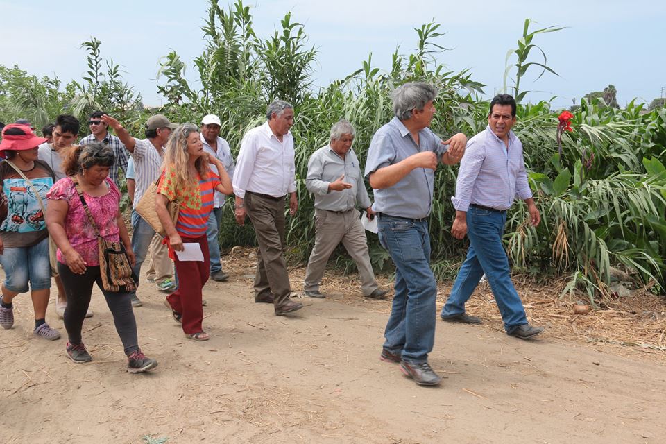 Minsa inspeccionará mañana terrenos donde se construirá hospital La Caleta de Chimbote