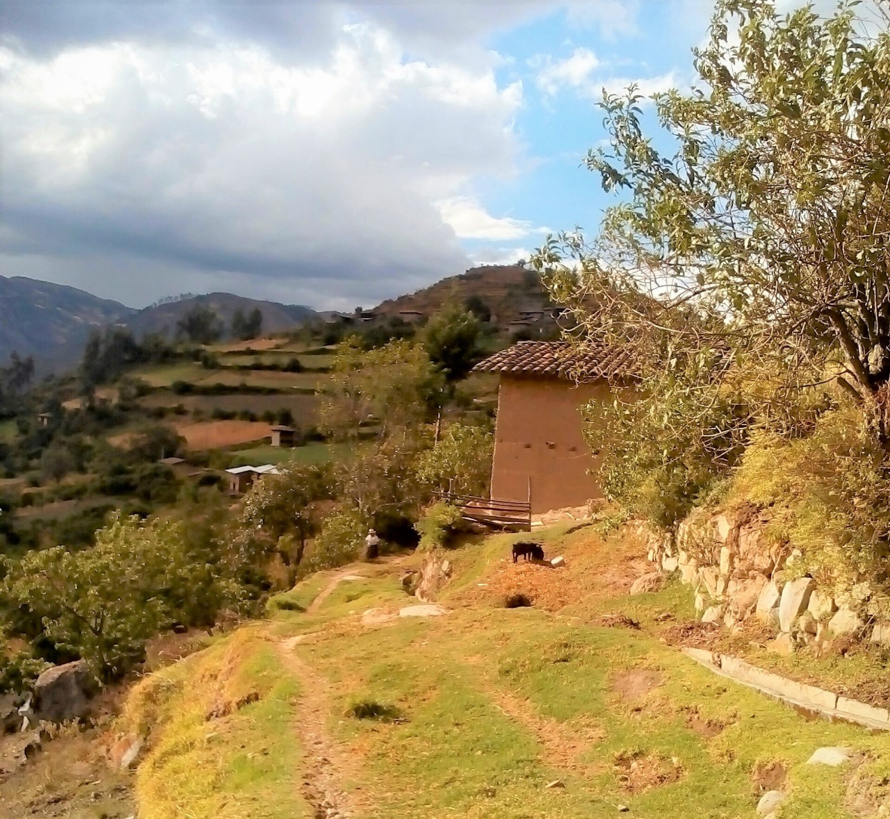 MTC cumplirá pago de afectaciones prediales por la carretera Mollepata-Pallasca
