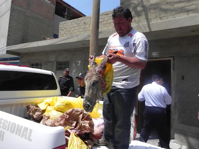 Policía interviene camal clandestino donde sacrificaban burros 
