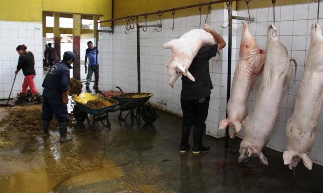 Otorgan 2 meses más de plazo para mejorar el camal municipal