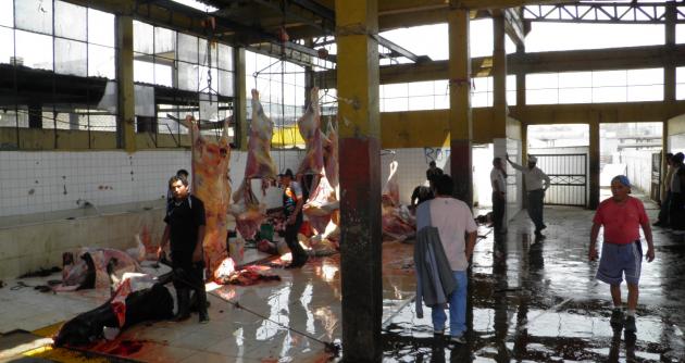 En diciembre vence plazo para que Camal Municipal de Chimbote levante observaciones