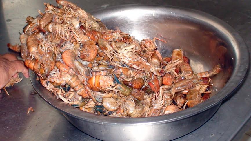 Casma: Decomisan camarón pese que su captura estaba prohibida 