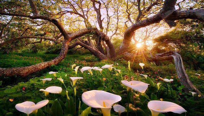 ¡Cambien de camino!