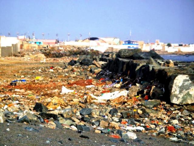 Estudiantes de UNS realizan campaña para promover prácticas ambientales en franja costera