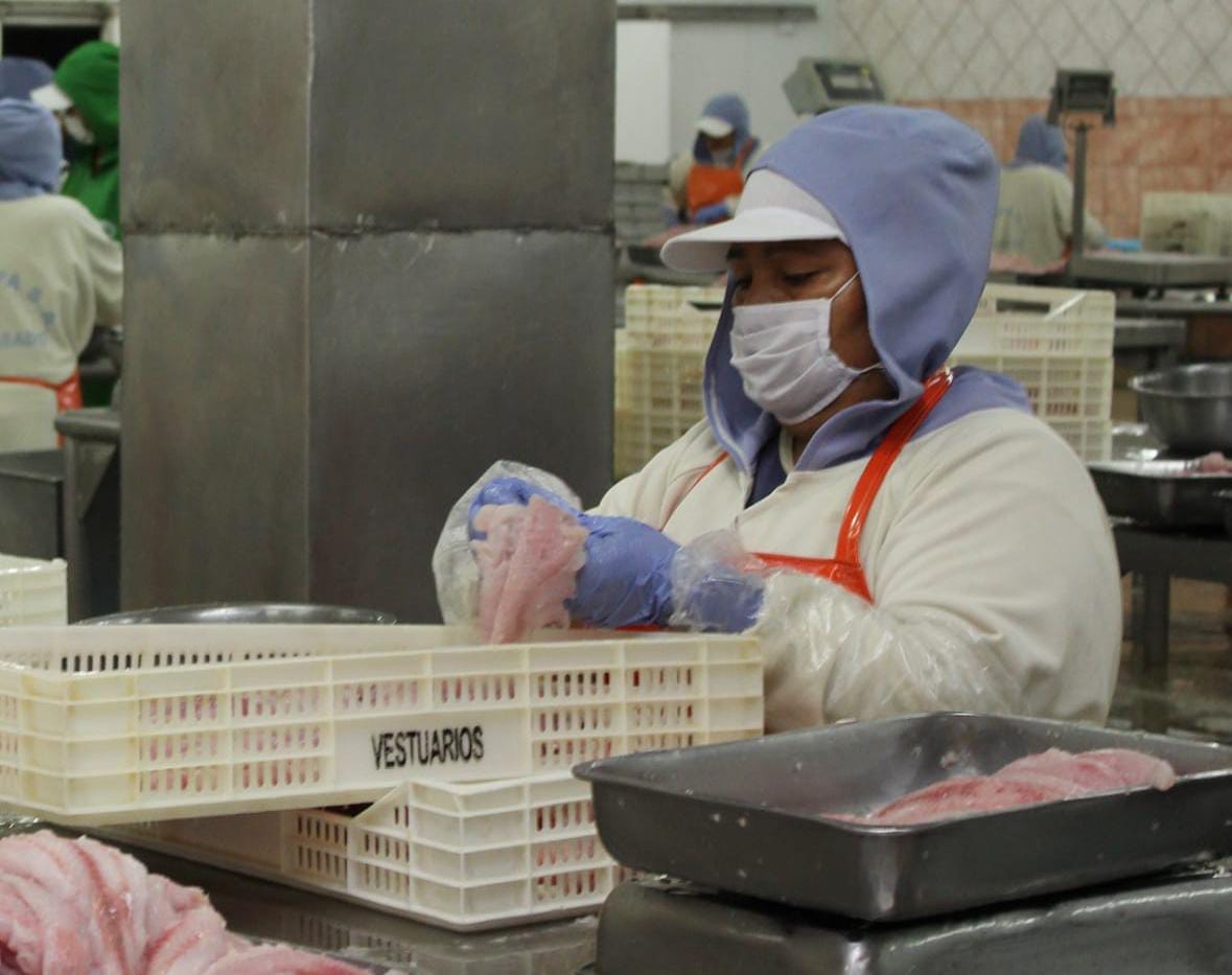 Empleos asociados a exportaciones crecieron 29.3% a agosto