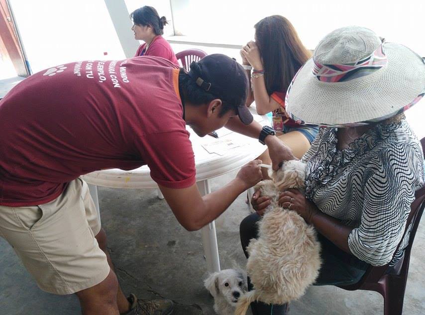 Chimbote: intensifican campaña de desparasitación y registro de canes 