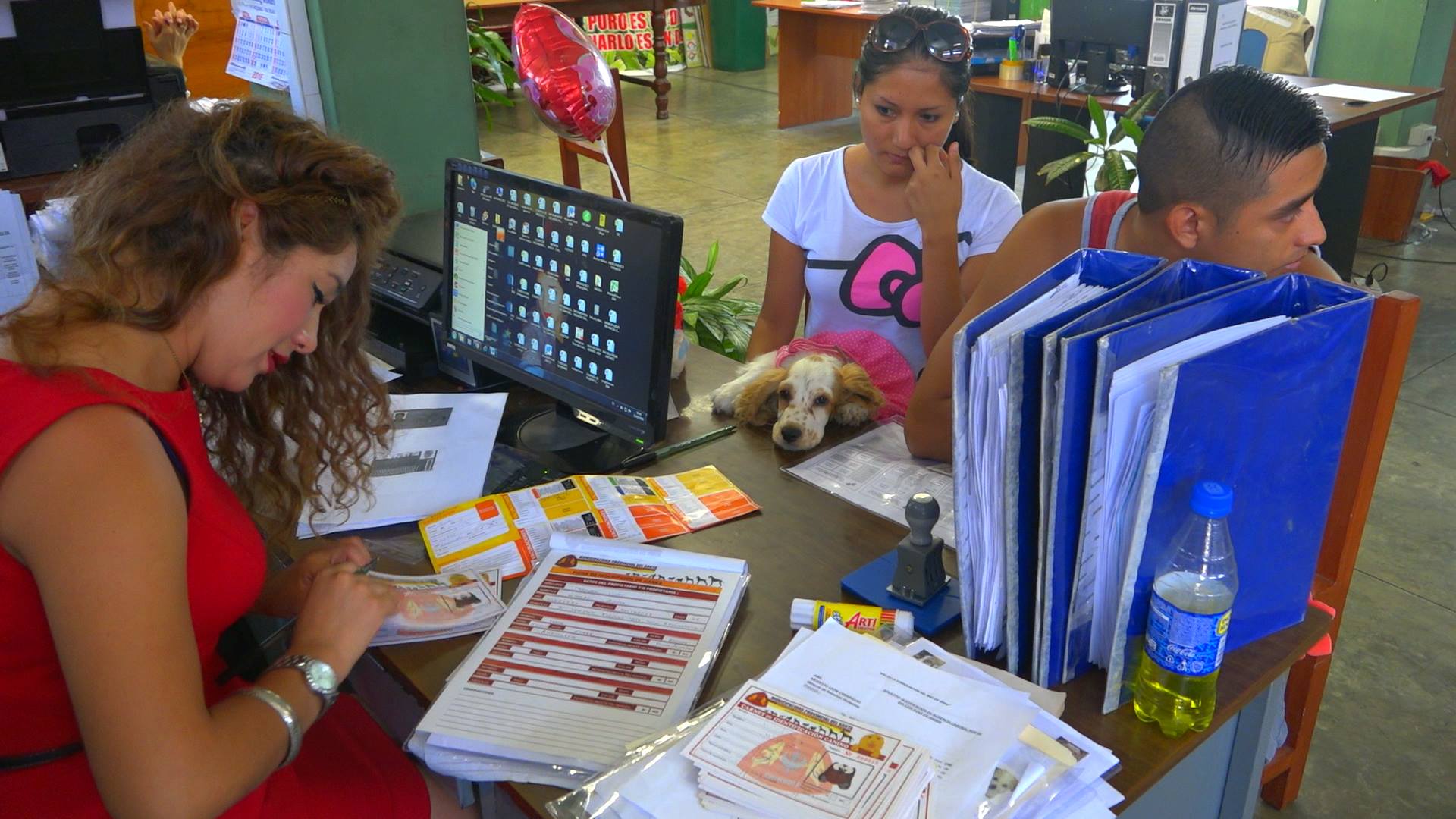 MPS realizará campaña gratuita de registro de canes desde el 24 hasta el 28 de octubre