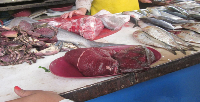 Inspectores del Produce incautaron carne de delfín en el mercado Miramar