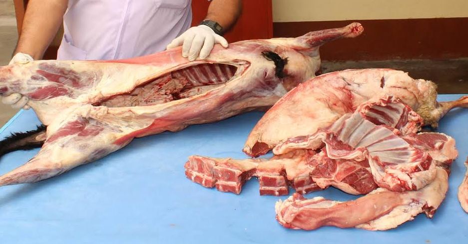 Carne de dudosa procedencia se comercializa en mercados de Chimbote