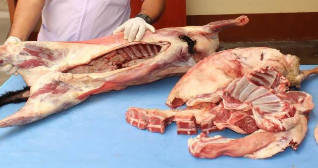 Casma: Decomisan carne de dudosa procedencia en mercado