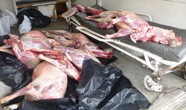 Chimbote: Incautan carne “bamba” que se vendía en mercados