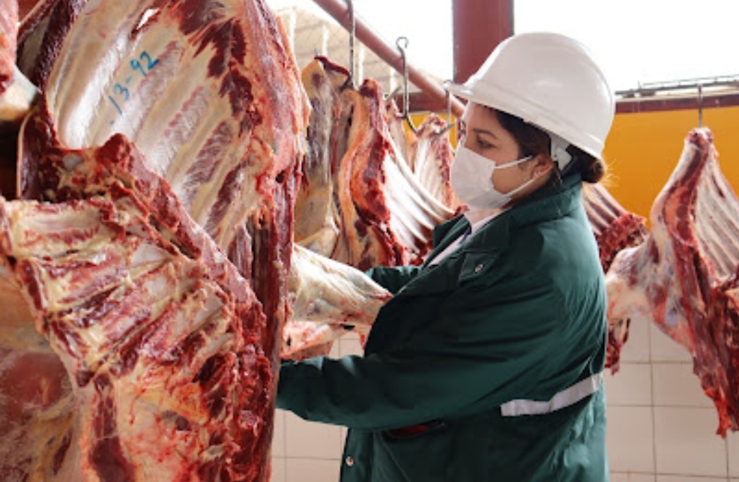 Senasa mantiene gestiones estratégicas con gobiernos locales para mejoramiento de mataderos