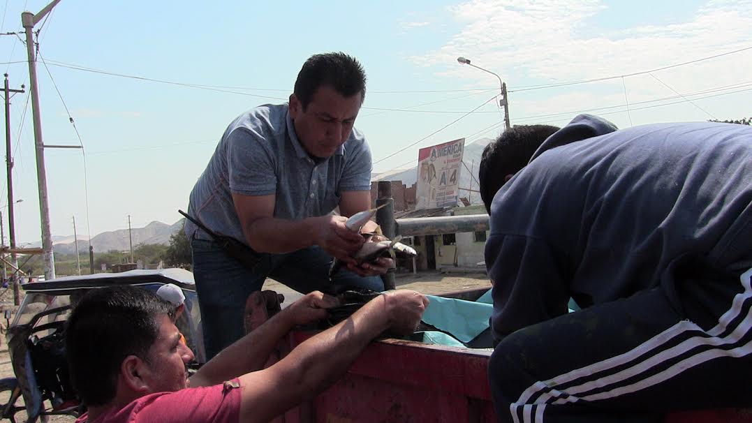 Entregan más de seis toneladas de pescado a población necesitada en Casma