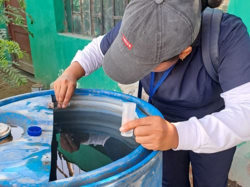 Casma confirma primer caso de dengue en 2025 y refuerza medidas de prevención