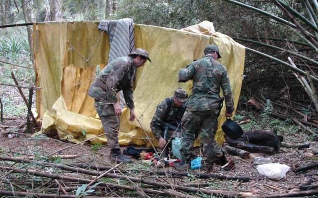  Jimbe: Inescrupulosos cazan animales salvajes para venderlos en el mercado